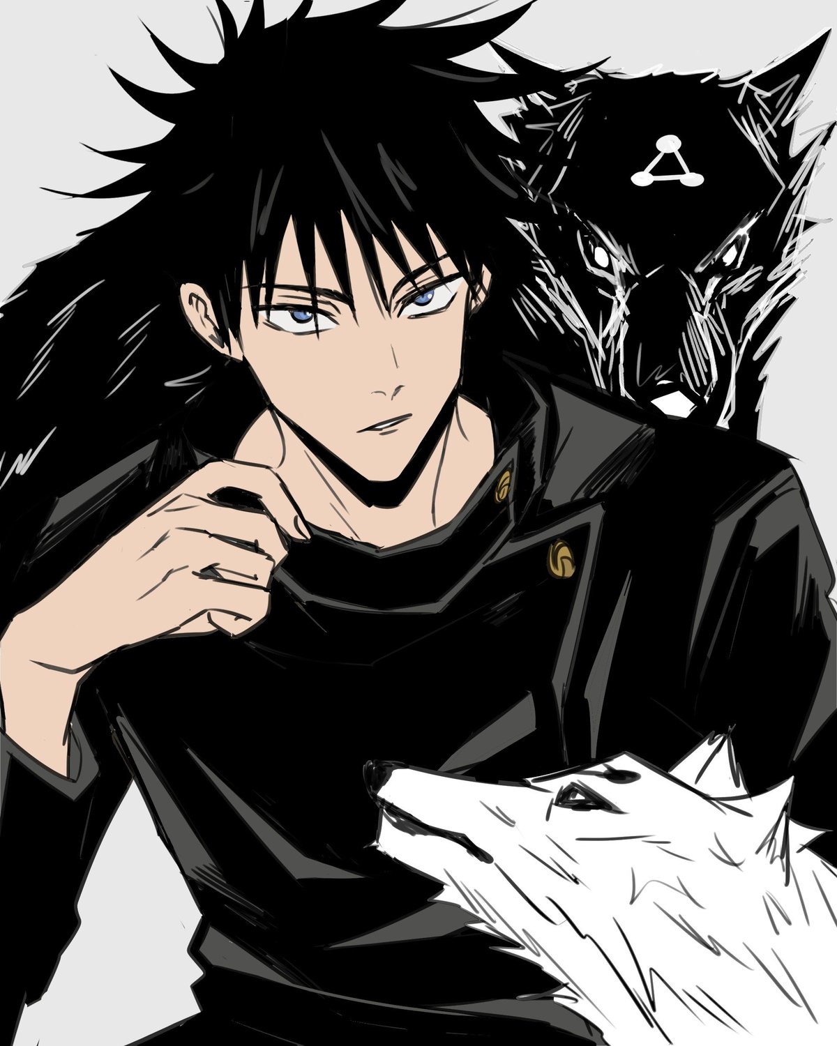 Megumi Fushiguro in My Hero Academias Role Explained